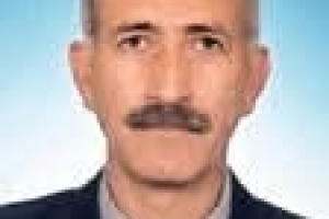 Yönetim Kurulu Başkanı 