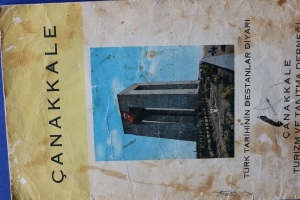 çatud resim