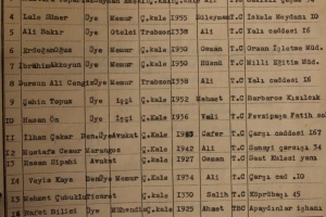 çatud resim