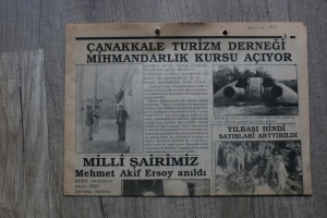 çatud resim